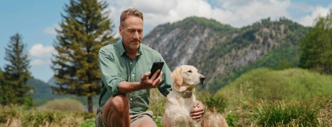 A man checking his phone next to a dog that's wearing a Tractive GPS tracker