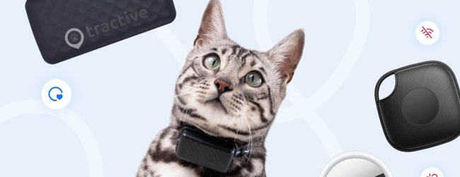 cat wearing a GPS bluetooth cat tracker with other types of trackers in the background