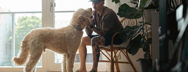 Homme qui câline un chien
