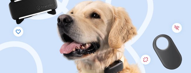 Infografikk fra Tractive: Samsung SmartTag vs. Tractive GPS Smart Tracker for hunder og katter