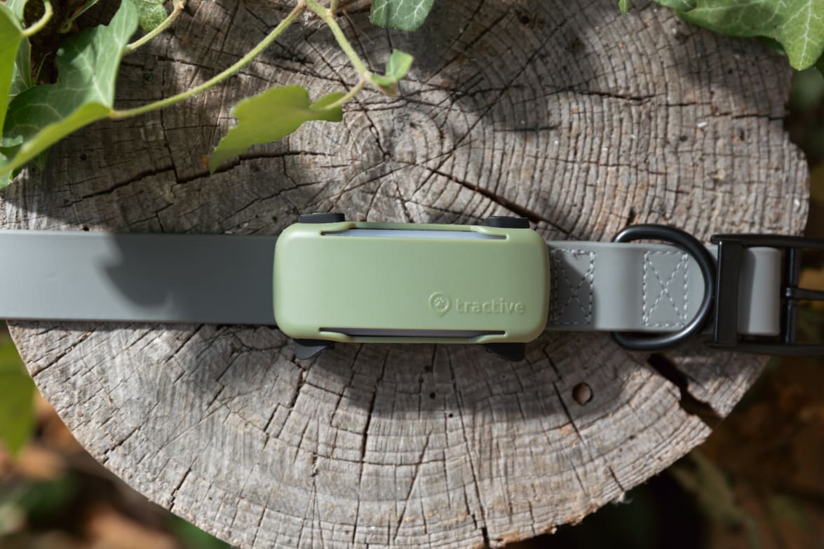 Tractive DOG 6 Tracker Cover Olive mounted on a collar