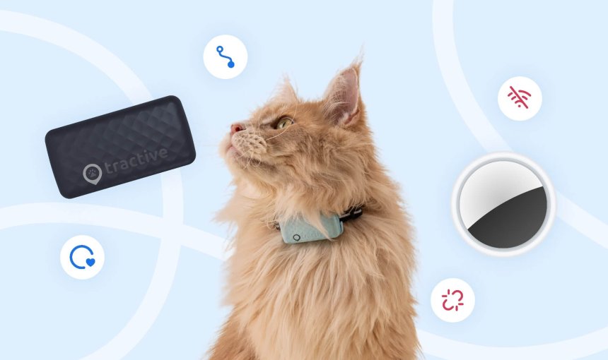 katte-GPS, kat, Apple AirTag til kat