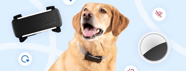 black tractive dog tracker, dog, and an apple airtag on a light blue background