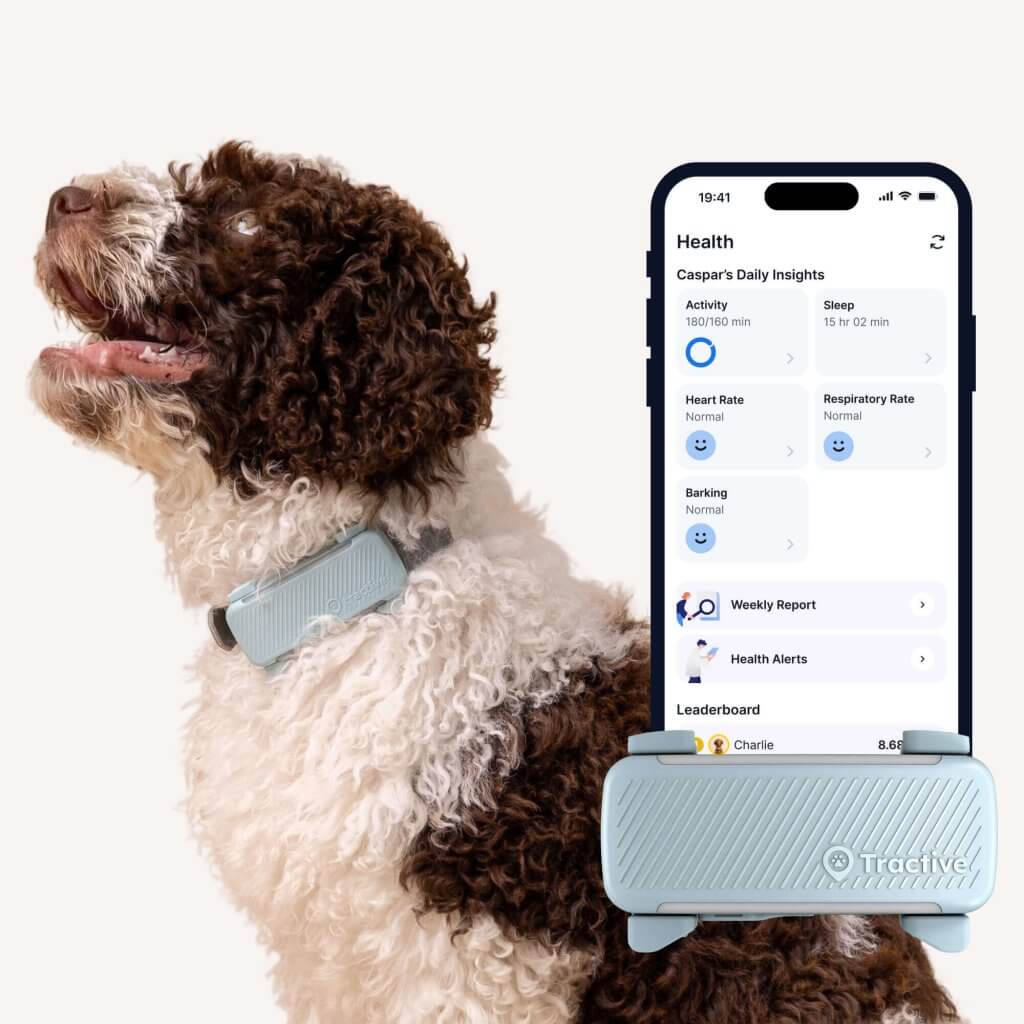 dog wearing Tractive Smart Dog Tracker with GPS and Health tracking, dog tracking app screenshot