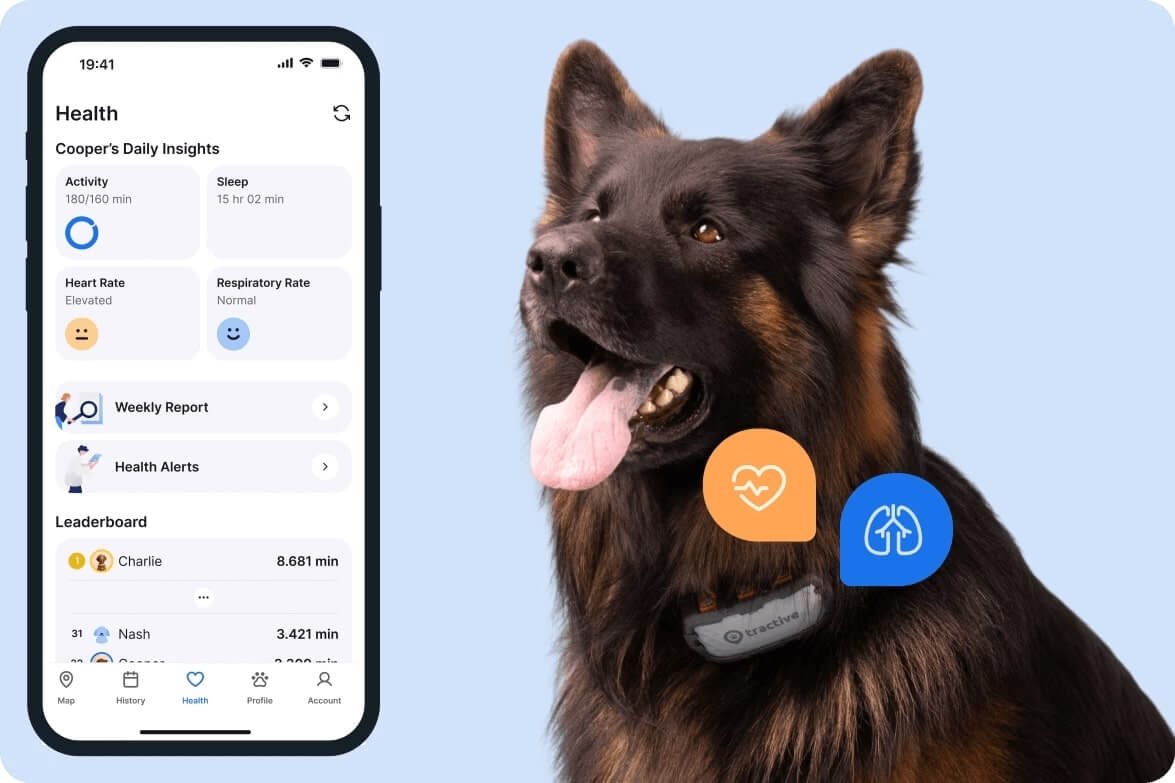 dog wearing the Tractive GPS and Health Tracker for Dogs, health feature app screenshot