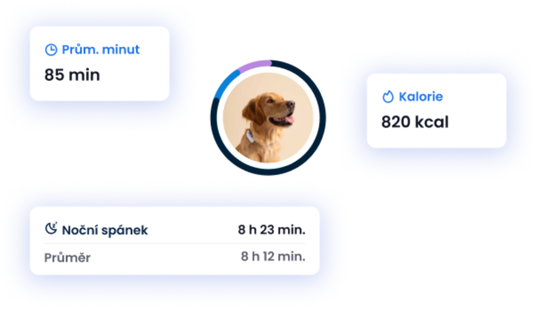 MONITOROVÁNÍ AKTIVITY A SPÁNKU