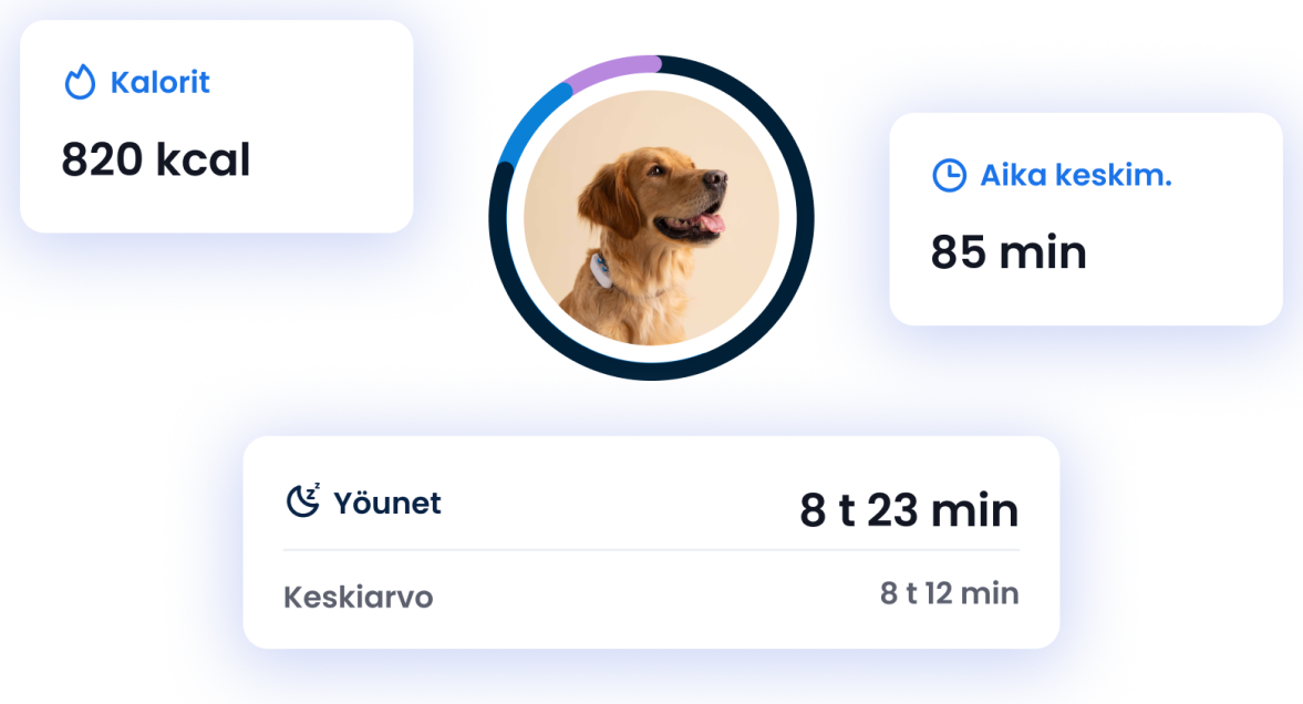 AKTIIVISUUDEN JA UNEN SEURANTA