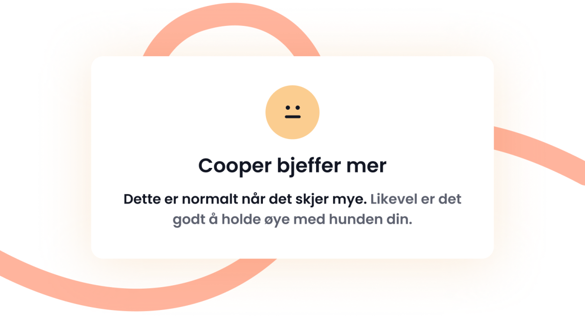 BJEFFEOVERVÅKING