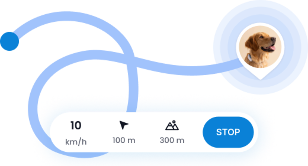 Sanntids sporingsfunksjon