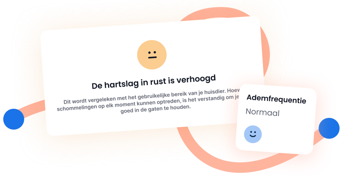 DAGELIJKSE INZICHTEN